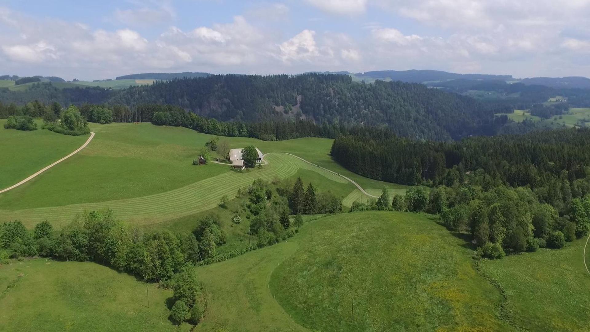 Ferienhaus Esche Хинтерцартен Экстерьер фото