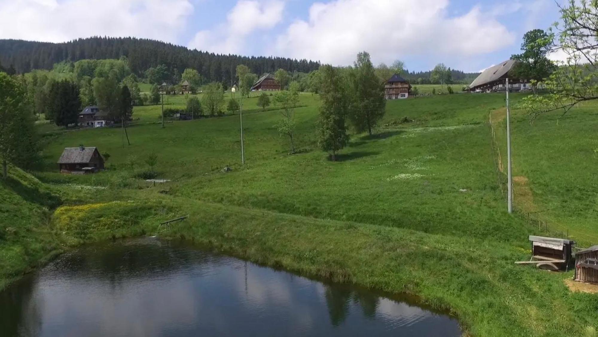 Ferienhaus Esche Хинтерцартен Экстерьер фото