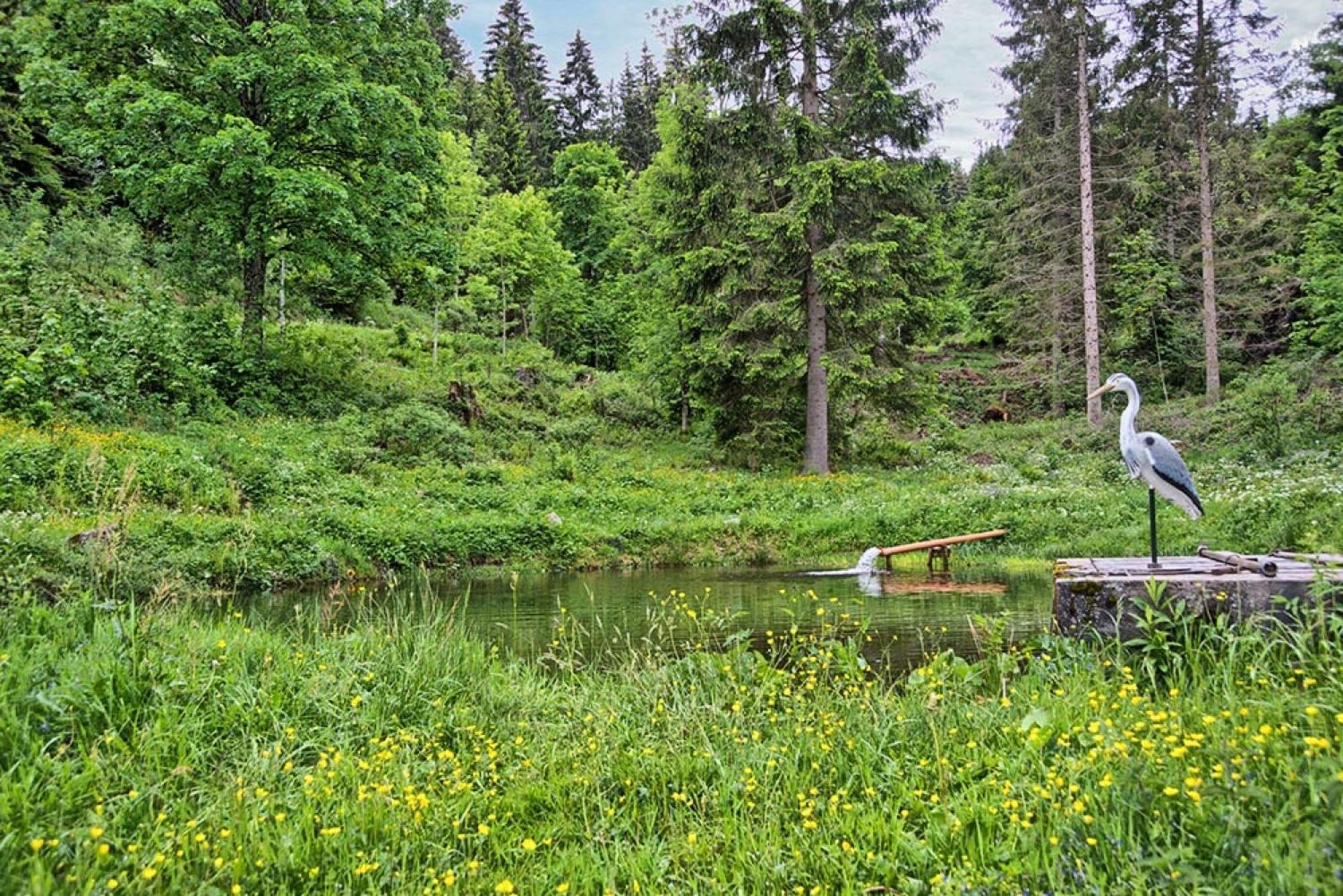 Ferienhaus Esche Хинтерцартен Экстерьер фото