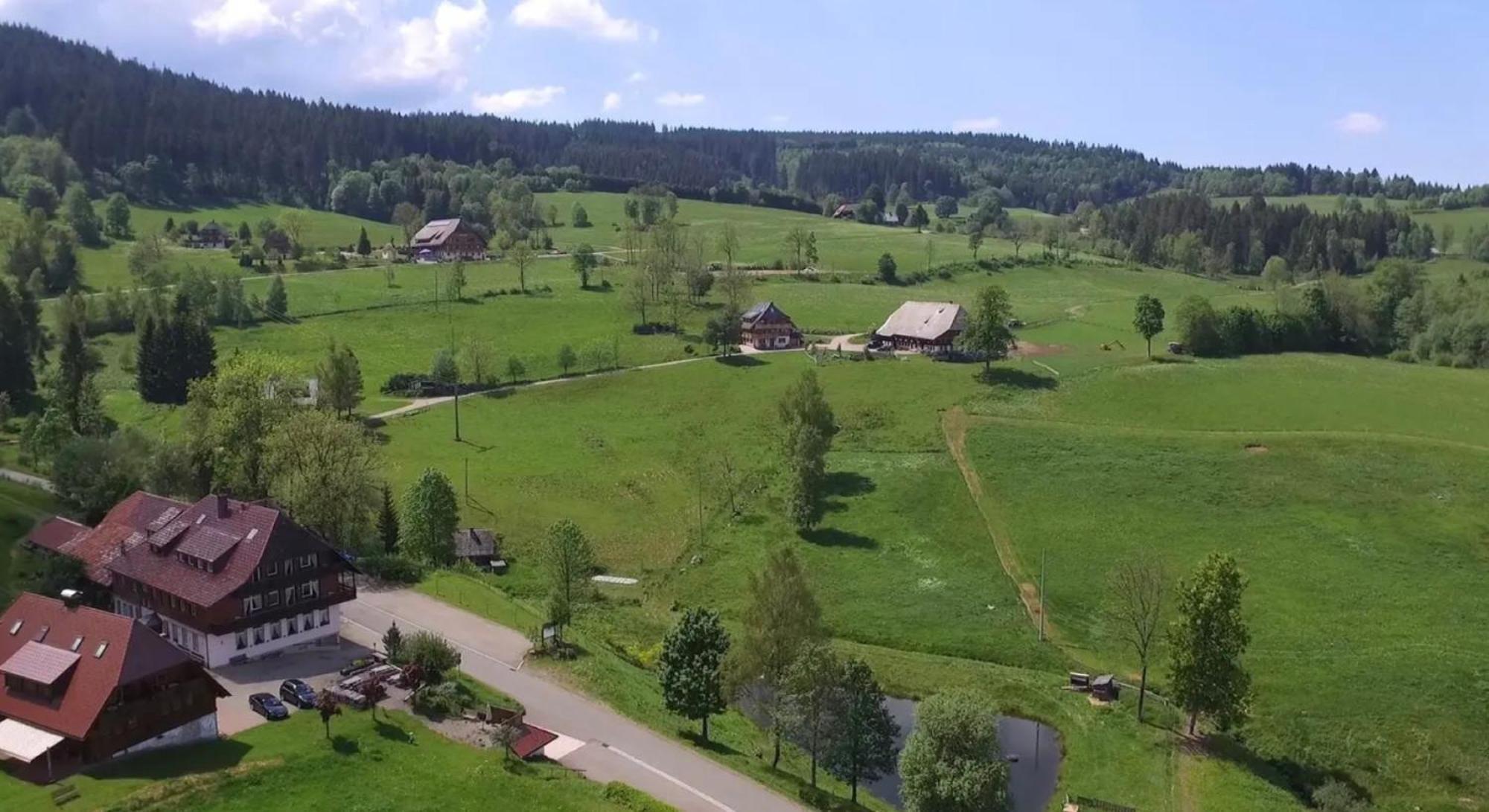 Ferienhaus Esche Хинтерцартен Экстерьер фото